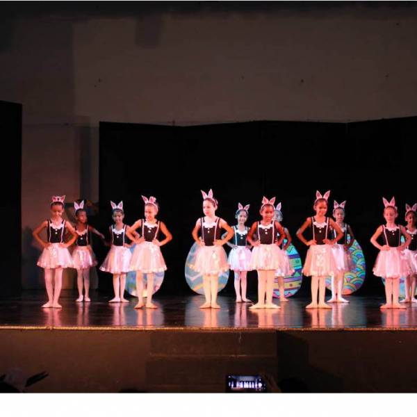 fotos geral-compactado1024_37.jpg